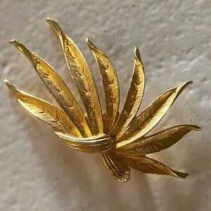 Vintage Golden Costume Pin
